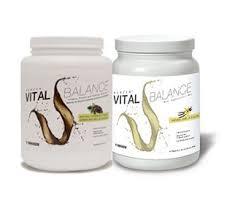 Nikken Vital Balance Chocolate,Vanilla Full Nutrition, functional food