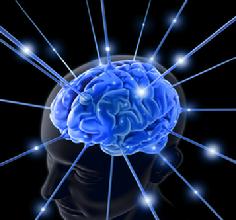 Headaches and Migraines; TMJ and Jaw pain; Sciatica, Scoliosis and Back Pain; Sinusitis, Sleep Apnea, Snoring, Breathing and Sinus Disorders; Concussion and other Head Injuries; Whiplash syndrome; Cerebral Palsy and other chronic conditions. NeuroCranial Restructuring may help a wide range of symptoms including � Acute and Chronic Ostitis Media, Alzheimer�s Disease, Amyotrophic Lateral Sclerosis (ALS), Anxiety and Nervousness, Arthritis, Bursitis, Rheumatism, Attention Deficit Disorder (ADD), Autism, Bipolar Disorder, Brain Surgery, Bruxism, Cerebral Palsy, Chronic Fatigue, Concussion, Deafness, Depression, Double Vision, Down Syndrome, Dyslexia, Dystonia, Ear infections Fibromyalgia Glaucoma Head injuries, Hyperactivity, Insomnia, Kyphosis(Hunchback), Disabilities Lordosis(Swayback) Lou Gehrig�s Disease Low Energy, Lymphatic Toxins, Lymphoma, Manic Depression, Migraines, Military Spine, Multiple Sclerosis, Muscle Spasms, Neck Pain, Obsessive Compulsive Disorder(OCD), Orthodontic Stress, Osteoporosis, Parkinson�s Disease, Phobias, Polio, Poor Concentration, Psychosis, Relationship, Difficulties Schizophrenia Sciatica Scoliosis and Spiral Spine, miners, Seizures Shoulder and Neck Pain, Sinus Disorders, Sinusitis, Sleep Apnea, Snoring, Strokes, Teeth Grinding, Tinnitus, TMJ (Temporomandibular joint) and TMD (Temporomandibular Disc), Vertigo and Balance Problems, Whiplash Headaches, � Alzheimer�s?, � Anxiety and nervousness? Arthritis, bursitis and rheumatism? � Attention Deficit Disorder, dyslexia, hyperactivity, disabilities?, � Autism?, � Brain surgery?, � Cerebral palsy?, � Bipolar disorder, (Manic-depression)?, Depression?, Obsessive-compulsive disorder?, � Psychosis? Schizophrenia?, � Concussion and other head injuries?, � Down�s Syndrome?, � Dystonia?, � Ear infection (acute and chronic otitis media) and deafness?, � Forty-seven chromosome individuals?, � Glaucoma? Double vision? Other vision problems?, � Headaches, head pressure, migraines?, � Heart conditions?, � Insomnia?, � Low energy (fibromyalgia, chronic fatigue)?, � Lymphatic circulation and its malfunctioning, such as lymphoma, lymphatic?, toxins, Lymphoid?, � TMD or TMJ (Mouth, head and jaw pains)?, � Multiple sclerosis and amyotrophic lateral sclerosis (Lou Gehrig�s disease)?, � Muscular dystrophy?, � Muscle spasms? Neck and shoulder pain?, � Organ functioning?, � Orthodontic stress and bruxism (grinding)?, � Osteoporosis?, � Para- and quadriplegics?, � Parkinson�s disease and tremors?, � Phobias?, � Polio?, � Poor concentration and focus?, � Relationship difficulties?, � Sciatica, kyphosis (hunchback), lordosis (swayback), scoliosis (a spiral spine), military spine (from whiplash) and other back problems?, � Seizures?, � Sinusitis? Sleep apnea? Snoring? Breathing and sinus disorders?, � Strokes? Thrombosis (excessive blood clotting)?, � Left hemisphere paresis?, � Tinnitus?, � Tuberculosis?, Vertigo and other balance problems?, � Autism, � Cerebral palsy, � Concussion and other head injuries, � Depression, obsessive-compulsive disorder, � Down�s Syndrome, � Dystonia, � Ear infection and deafness, � Glaucoma, double vision and other vision problems, � Headaches, head pressure, migraines � Insomnia, � Low energy, Fibromyalgia, chronic fatigue, � Muscle spasms, neck and shoulder pain, � Organ functioning, � Orthodontic stress and bruxism, � Osteoporosis, � Parkinson�s disease and tremors, � Phobias, � Poor concentration and focus, � Relationship difficulties, � Sciatica, kyphosis (hunchback), lordosis (swayback), scoliosis (spiral spine), military spine & other problems, � Seizures, � Sinusitis, sleep apnea, snoring, other breathing and sinus disorders, � Strokes, � Tinnitus, � TMD, TMJ (mouth, head and jaw pains), � Vertigo and other balance problems, � Whiplash Syndrome, � Wrinkles (NeuroCranial Restructuring replaces a face lift)