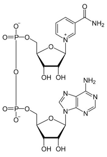 Pterostilbene, Resveratrol, diabetes, sugar regulation, catalyst, anti-inflammatory,  cancer, energy, cellular repair, 5Linx, anti-aging, aging, sports, youth, vitality, caffeine, real energy, health, healing, NAD, Nicotinamide Riboside, nad booster, alertness, alert, focus, body building, body, boost, Boost, chemistry, molecule,